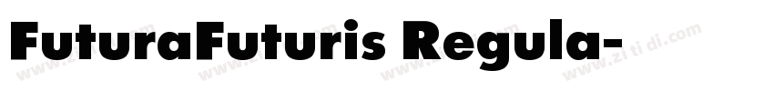 FuturaFuturis Regula字体转换